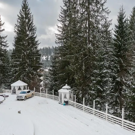 Freeman-2a 4місний з кухнею, терасою, грилем - на увесь перший поверх котеджу Chalet *