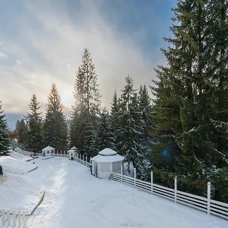 Chalet Freeman-2a 4місний з кухнею, терасою, грилем - на увесь перший поверх котеджу Bukovel