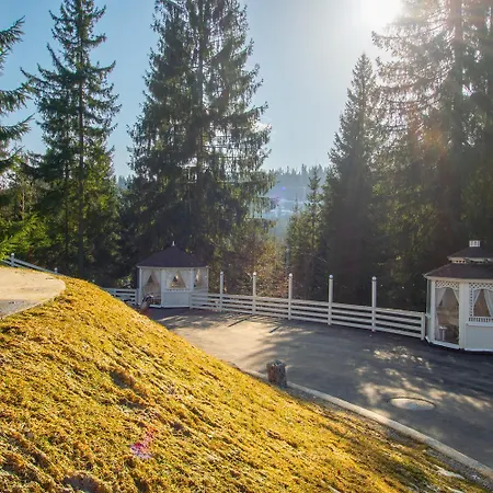 Chalet Freeman-2a 4місний з кухнею, терасою, грилем - на увесь перший поверх котеджу Bukovel