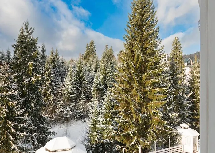 シャレー Freeman-2a 4місний з кухнею, терасою, грилем - на увесь перший поверх котеджу *